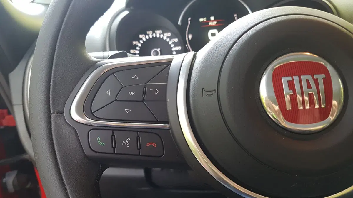 Fiat 500L  (23)