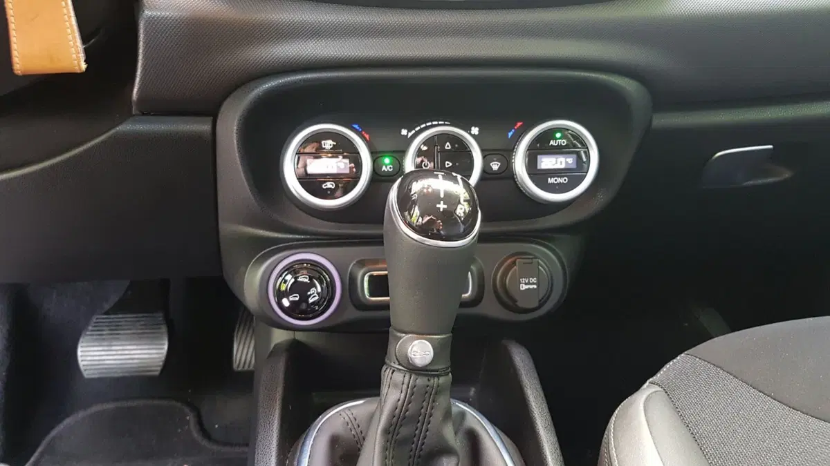 Fiat 500L  (24)