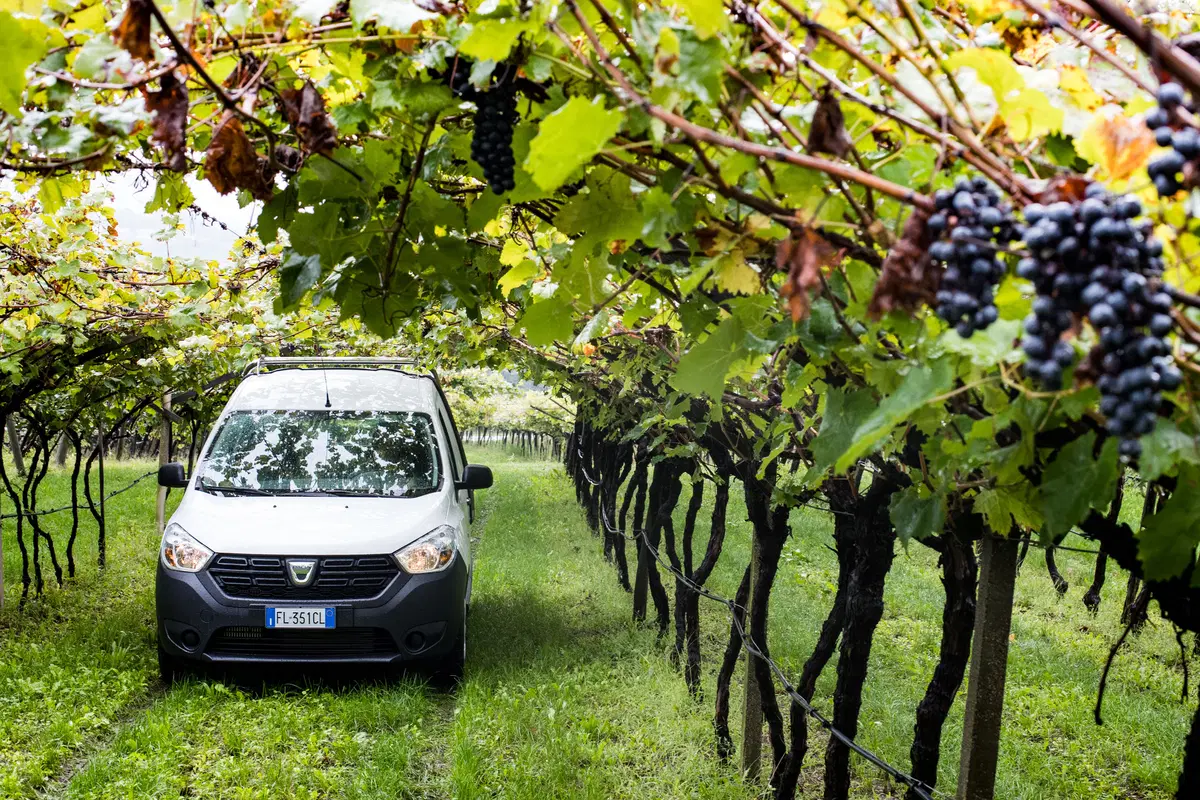 Nuovo Dacia Dokker Pick-Up: debutto alla Fisherman Strongmanrun (26)
