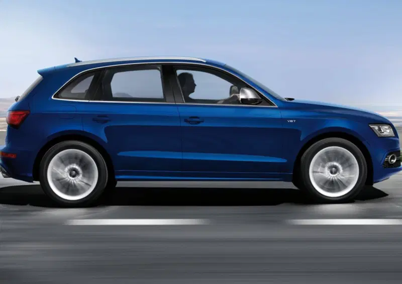 Audi SQ5 (2012-17) (3)