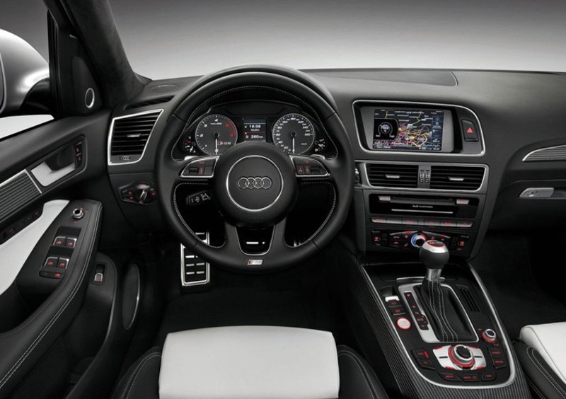 Audi SQ5 (2012-17) (4)