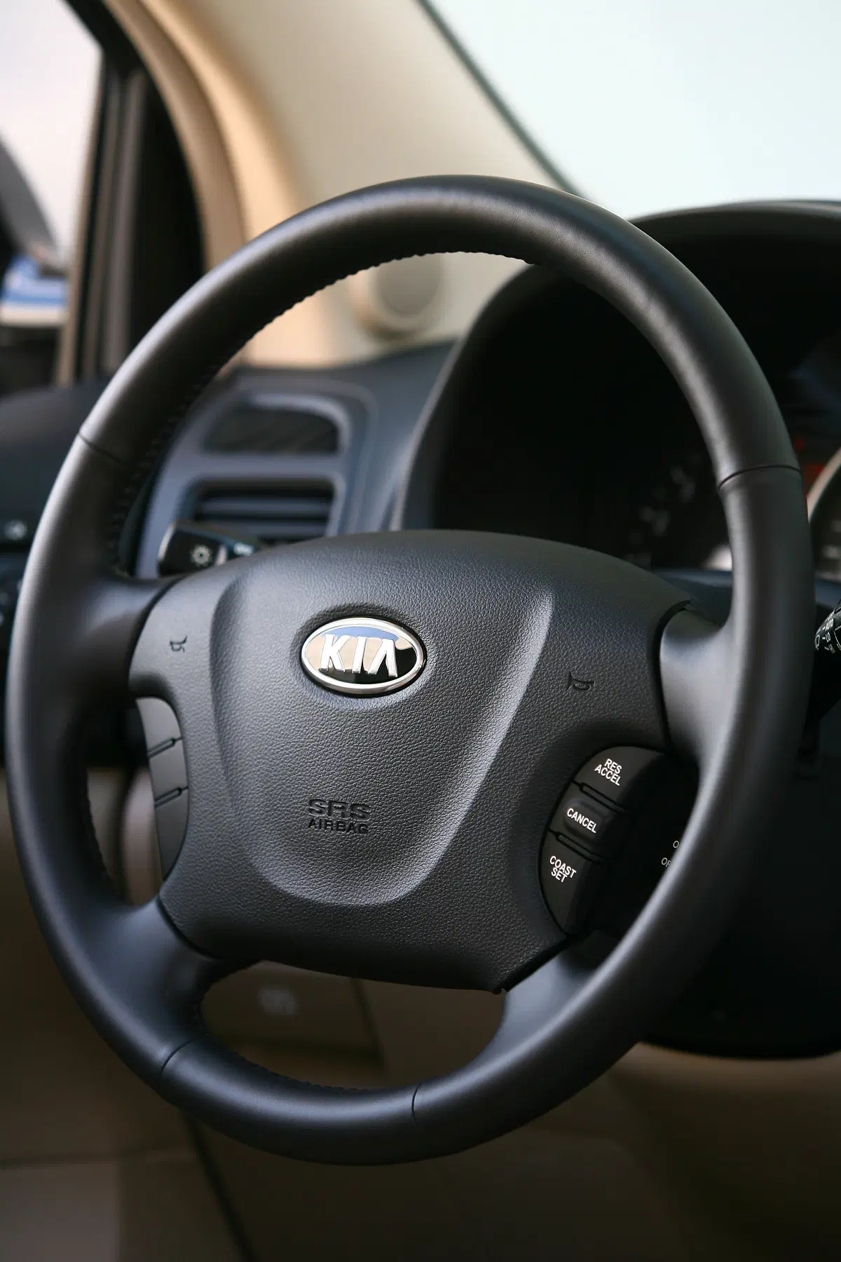 Kia Carnival (2006-10) (39)