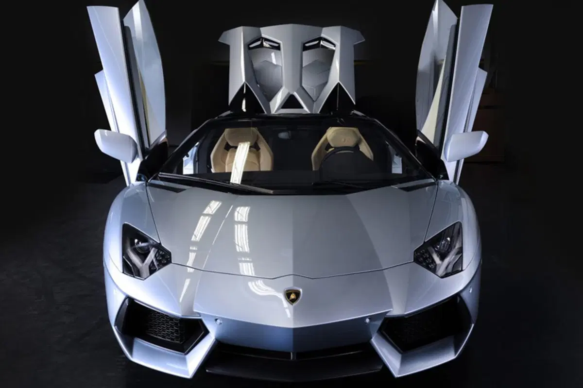 Lamborghini Aventador Cabrio (2012-21) (22)