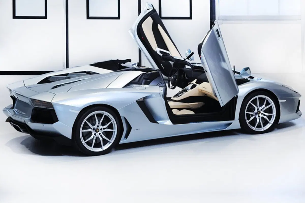 Lamborghini Aventador Cabrio (2012-21) (24)