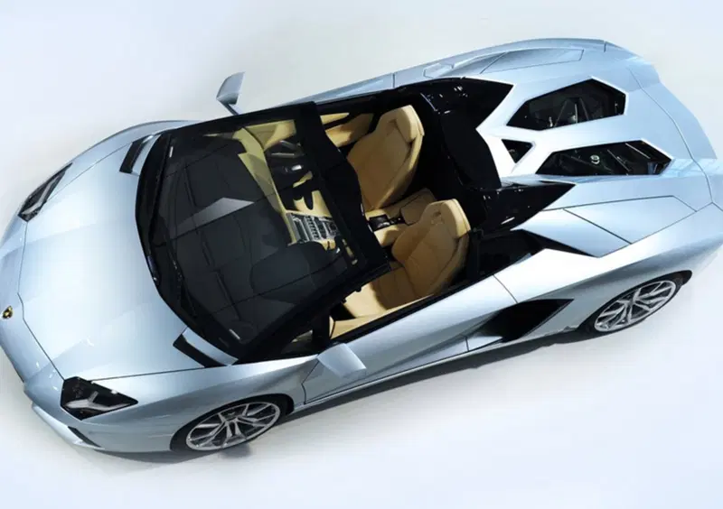 Lamborghini Aventador Cabrio (2012-21) (26)