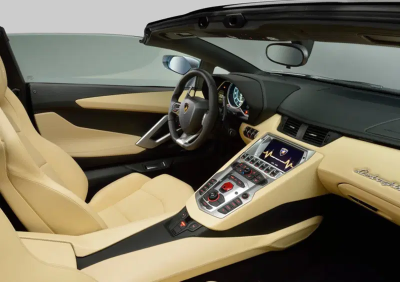 Lamborghini Aventador Cabrio (2012-21) (25)