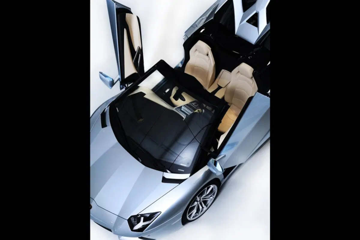 Lamborghini Aventador Cabrio (2012-21) (29)