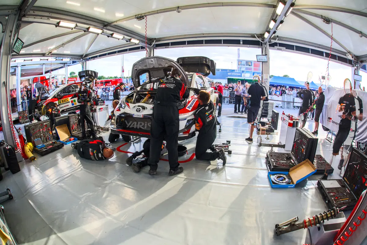 WRC (15)