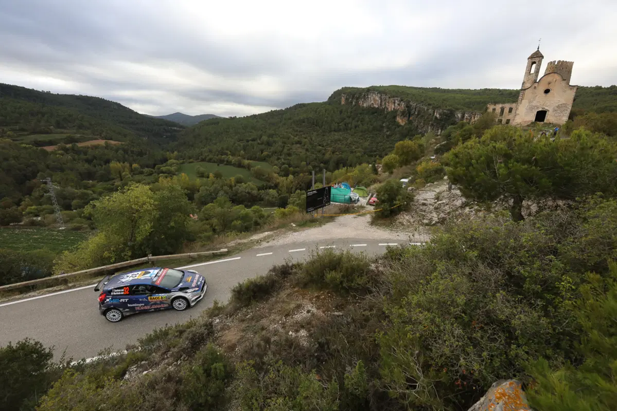 WRC (24)