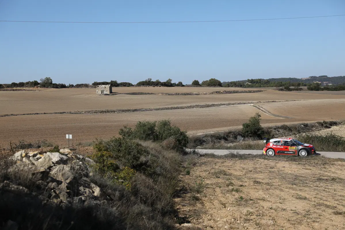 WRC (33)