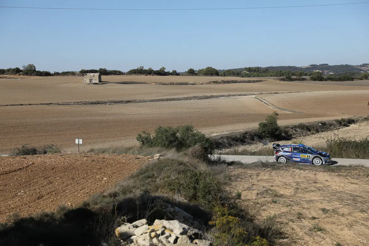 WRC (34)