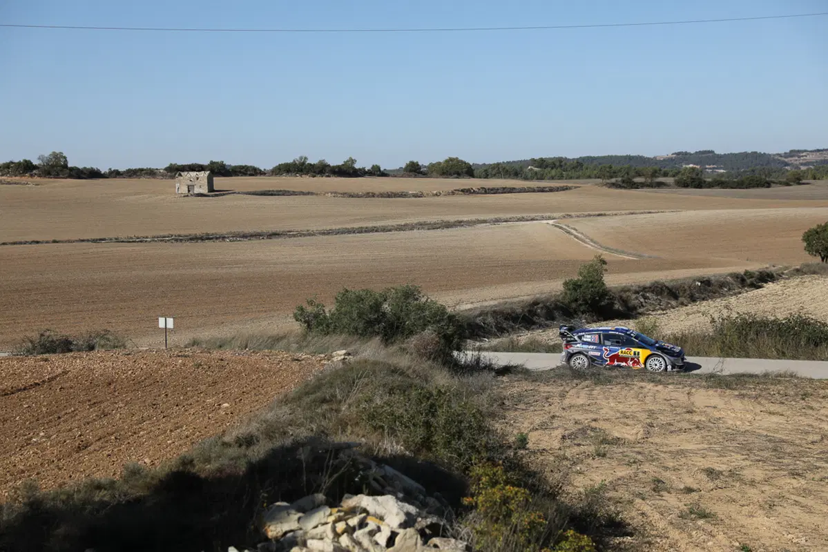 WRC (38)