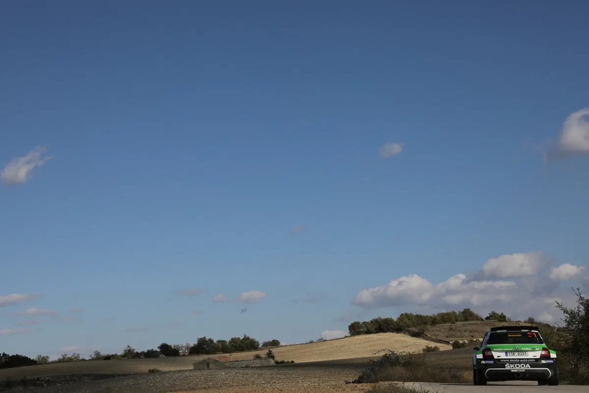 WRC (39)