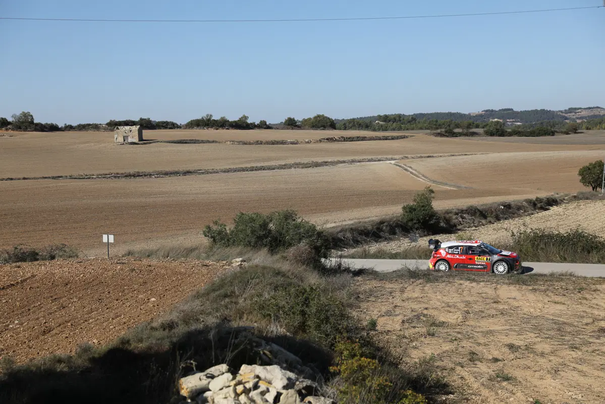 WRC (40)