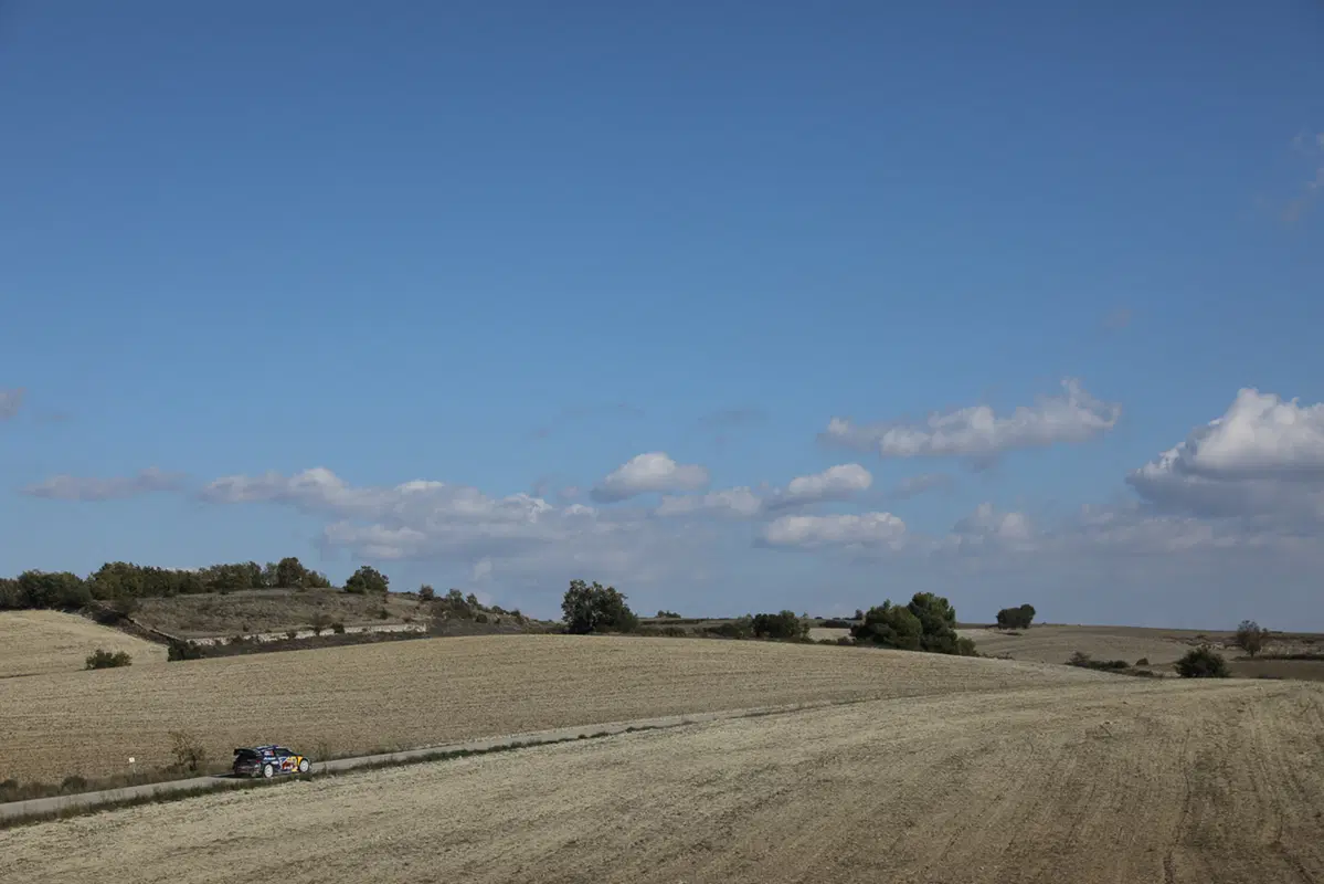 WRC (41)