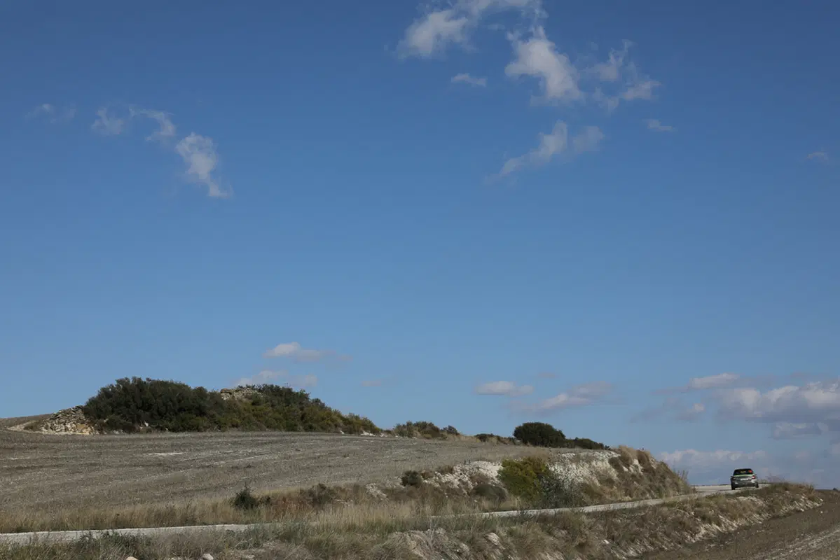 WRC (44)