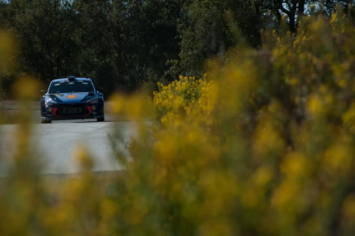 WRC (56)