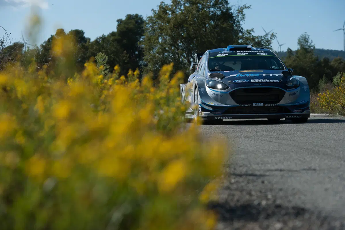 WRC (61)
