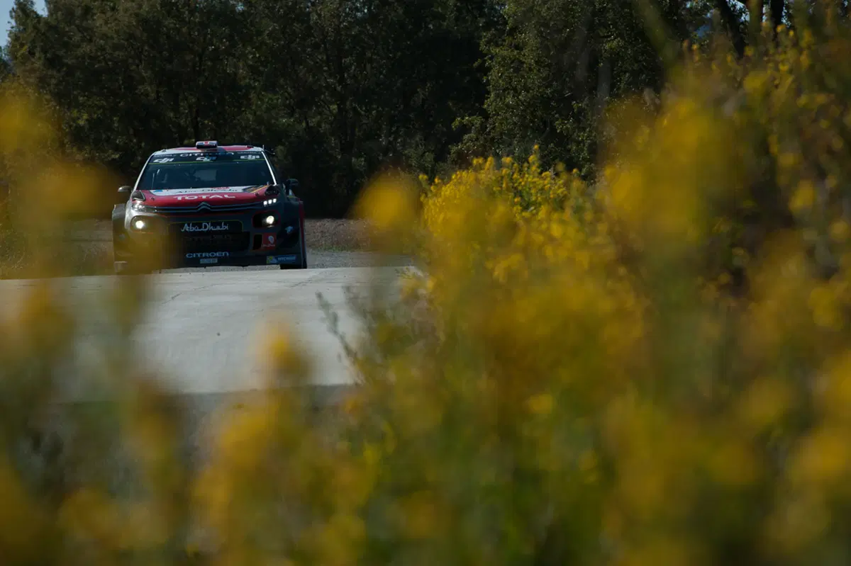 WRC (63)