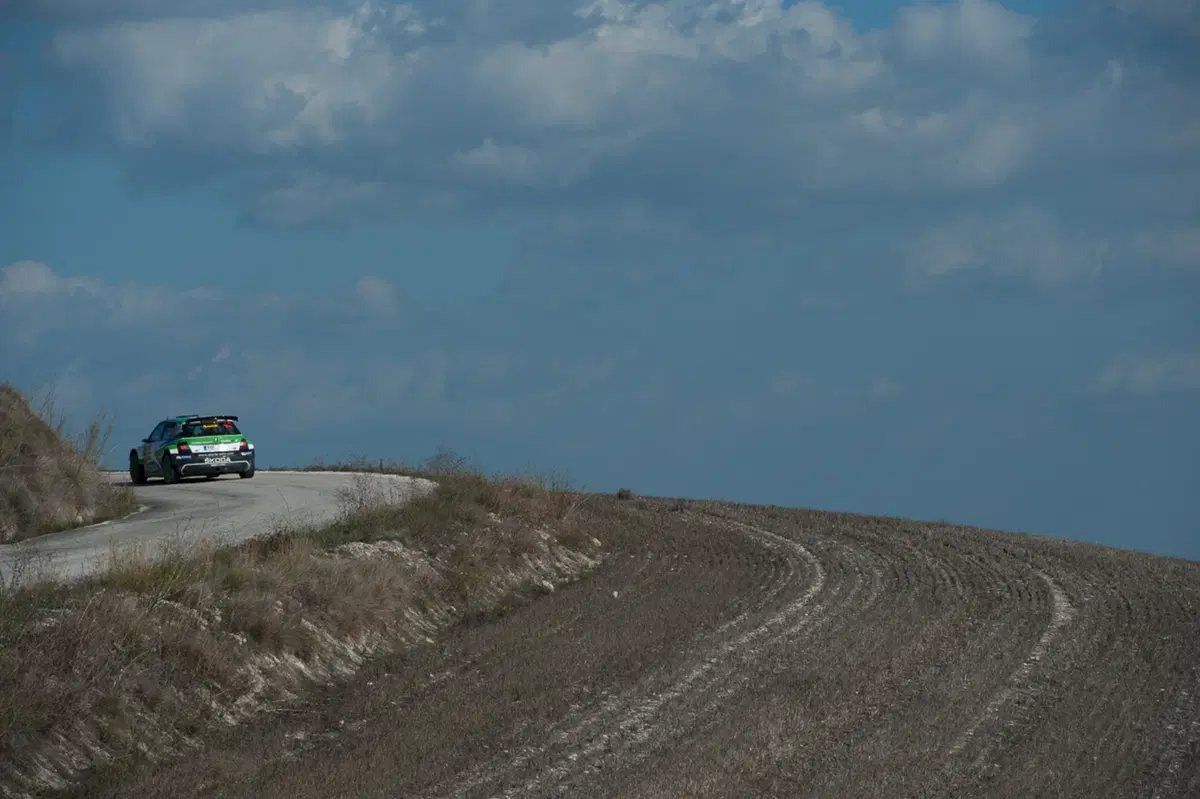 WRC (64)