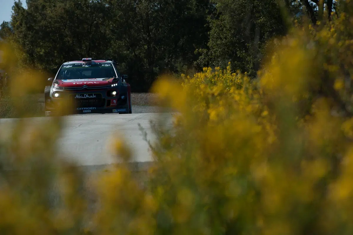 WRC (66)