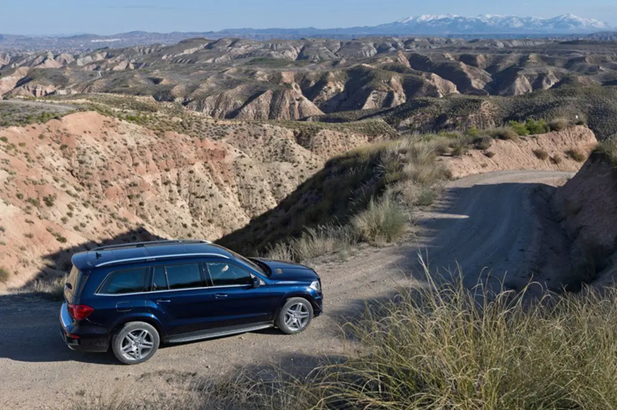 Mercedes-Benz GL 350 BlueTEC 4matic Premium (19)