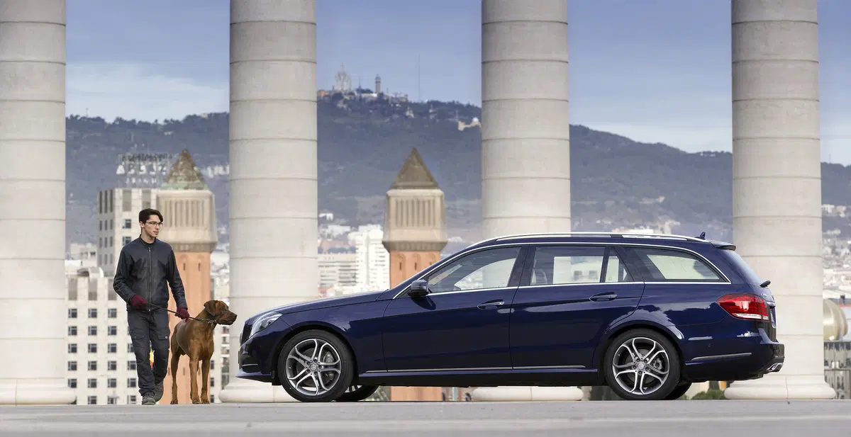 Mercedes-Benz Classe E Station Wagon 350 BlueTEC Automatic Premium (6)