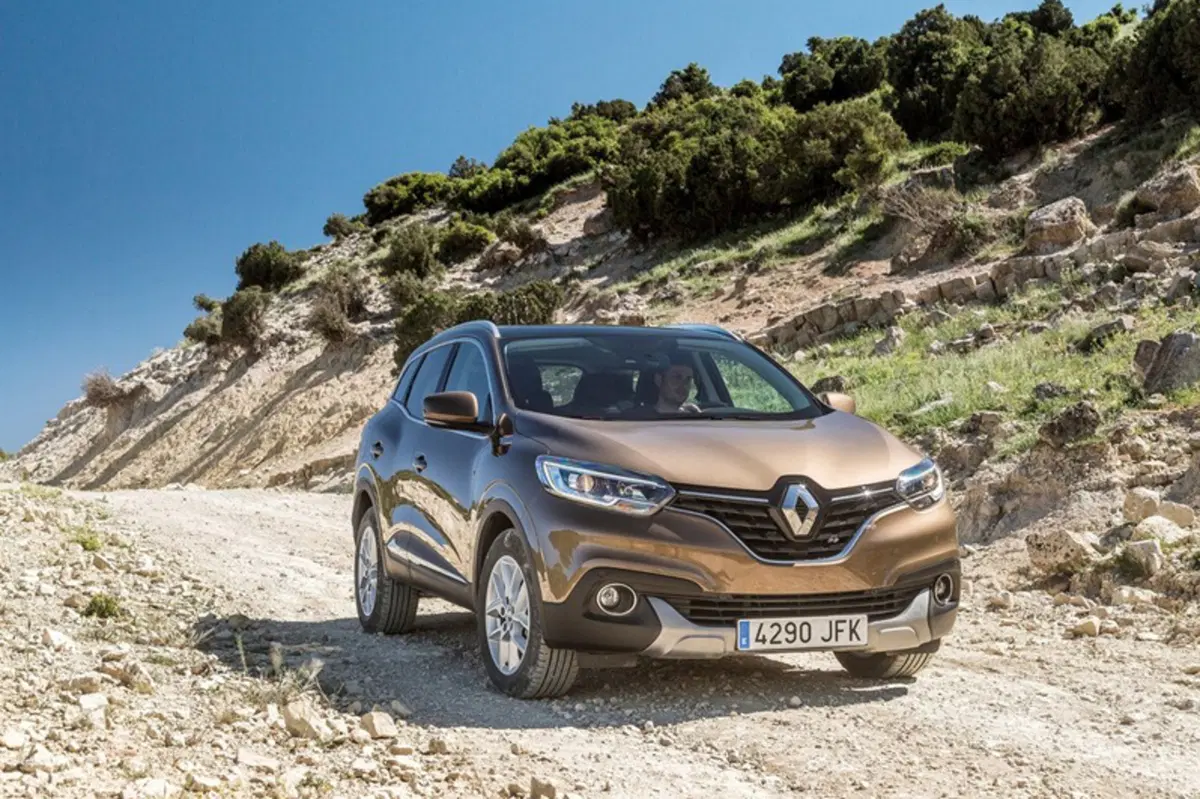 Renault Kadjar 140CV FAP Life (45)