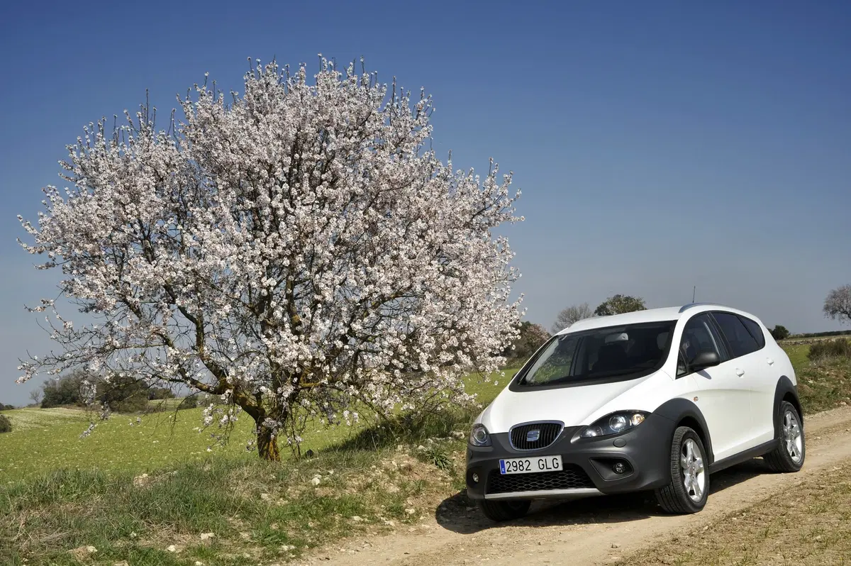 SEAT Altea Freetrack 2.0 TDI DPF (3)