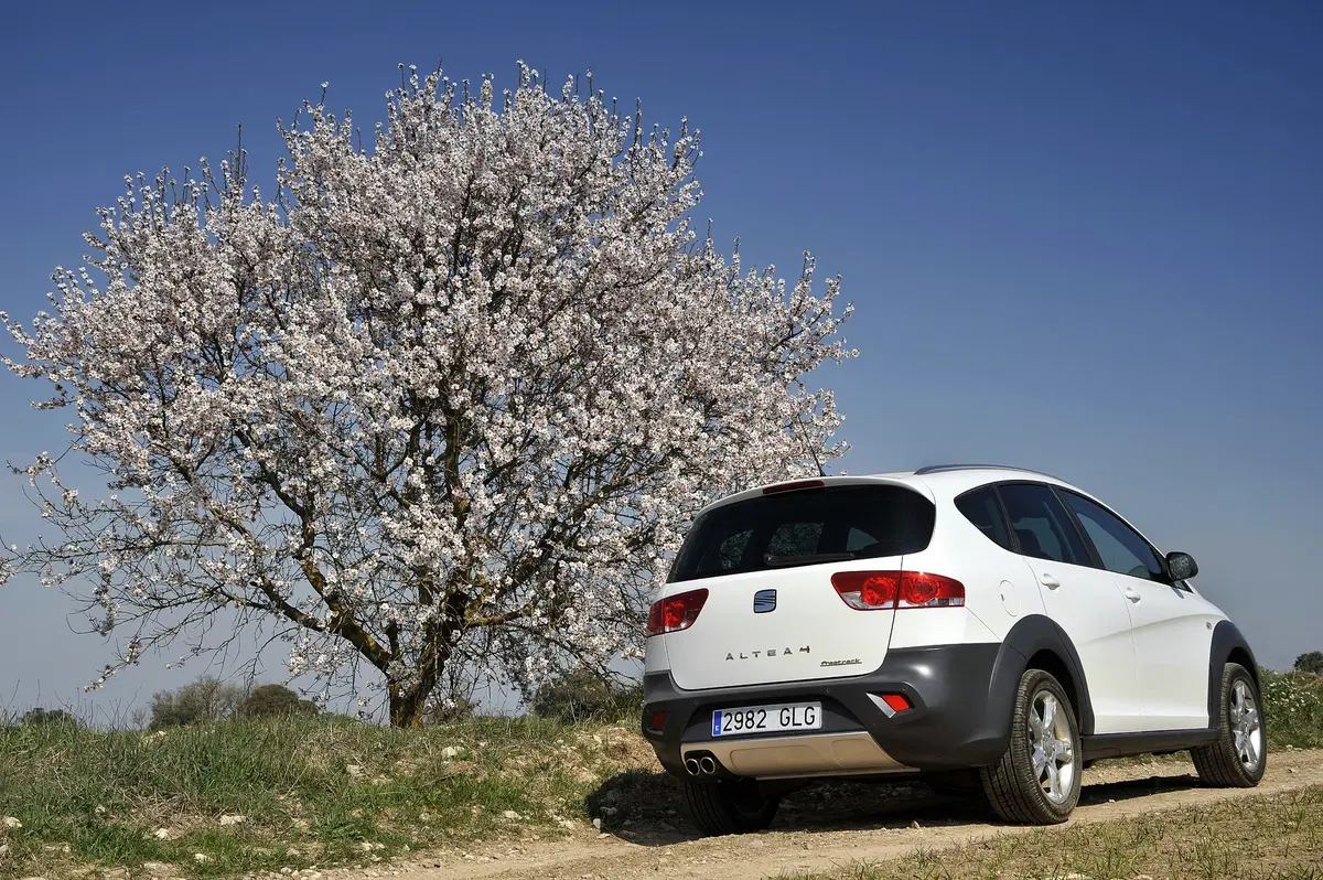 SEAT Altea Freetrack 2.0 TDI DPF (8)