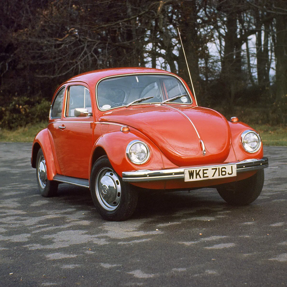 Volkswagen Maggiolino (1983-86)