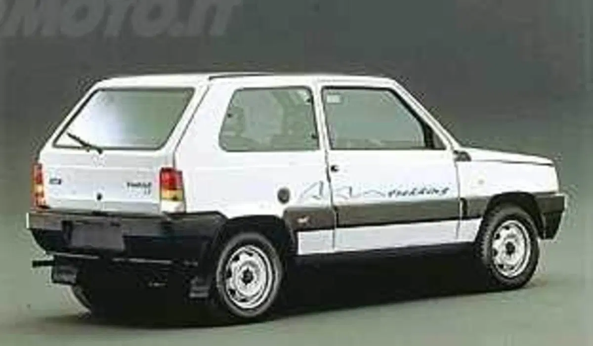 Fiat Panda 1000 i.e. cat 4x4 Trekking