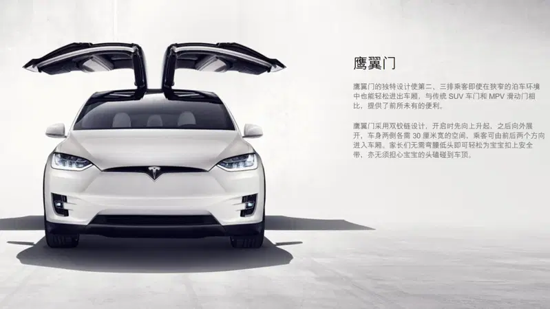 Tesla va in Cina?