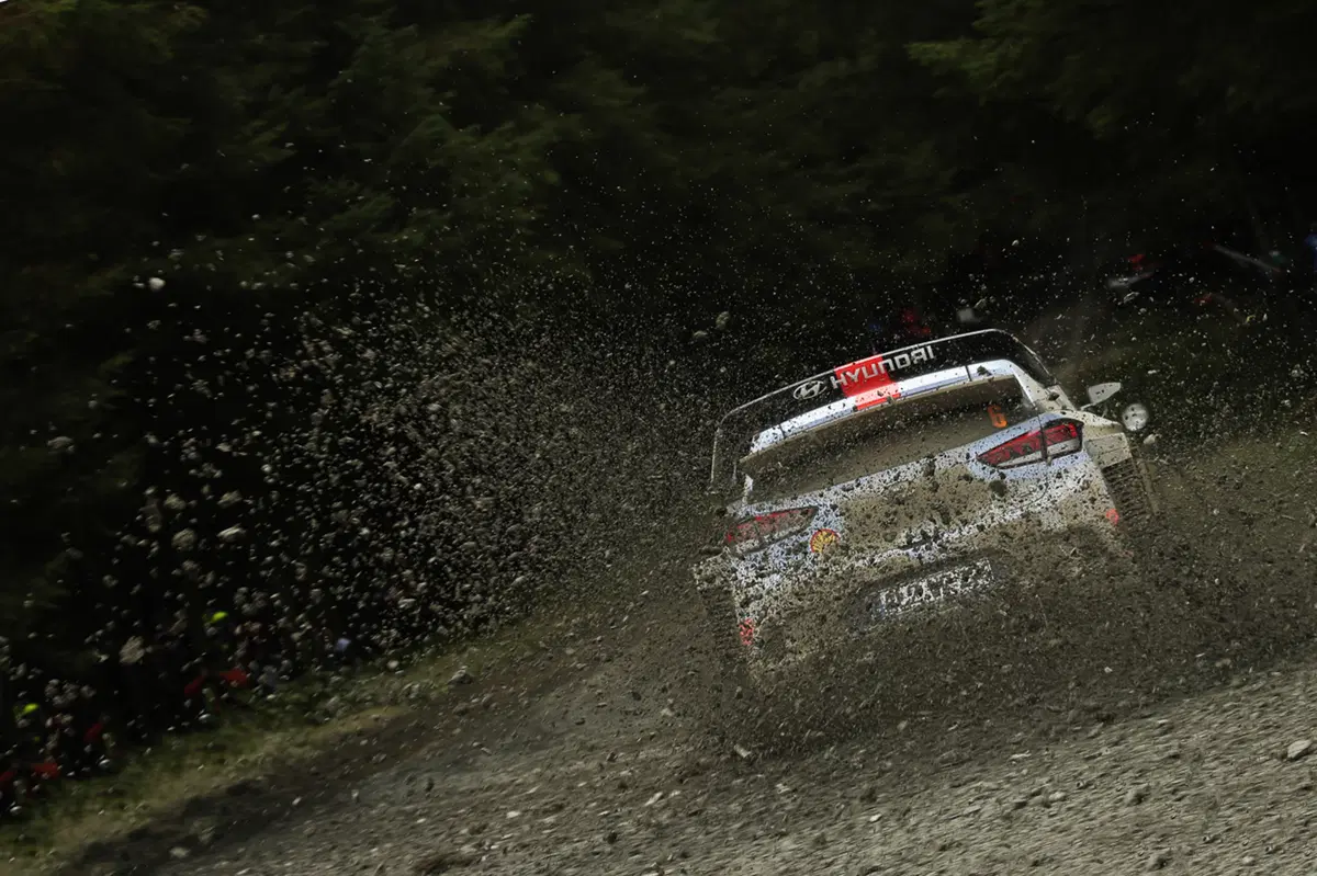 WRC17 Wales GB. Evans Re del Galles e Ogier Re del Mondo, nel segno di M-Sport Campione del Mondo (10)