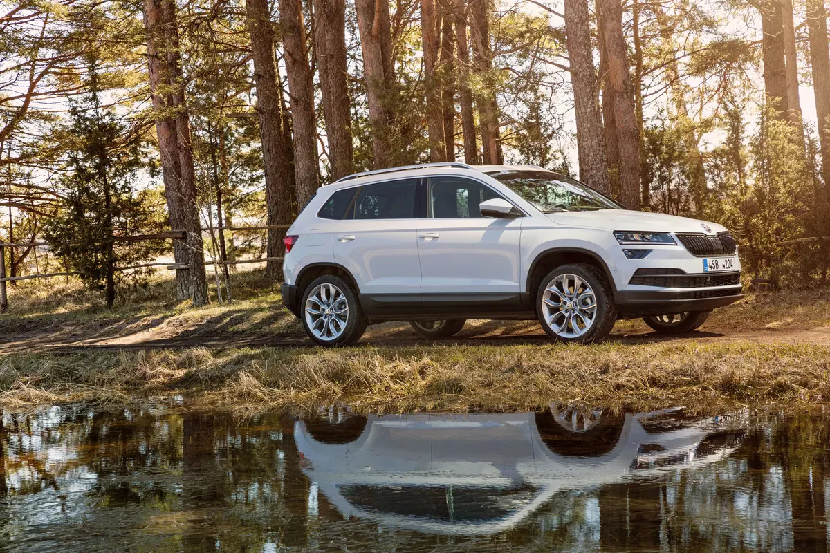 Skoda Karoq 2.0 tdi Sportline 115cv (34)