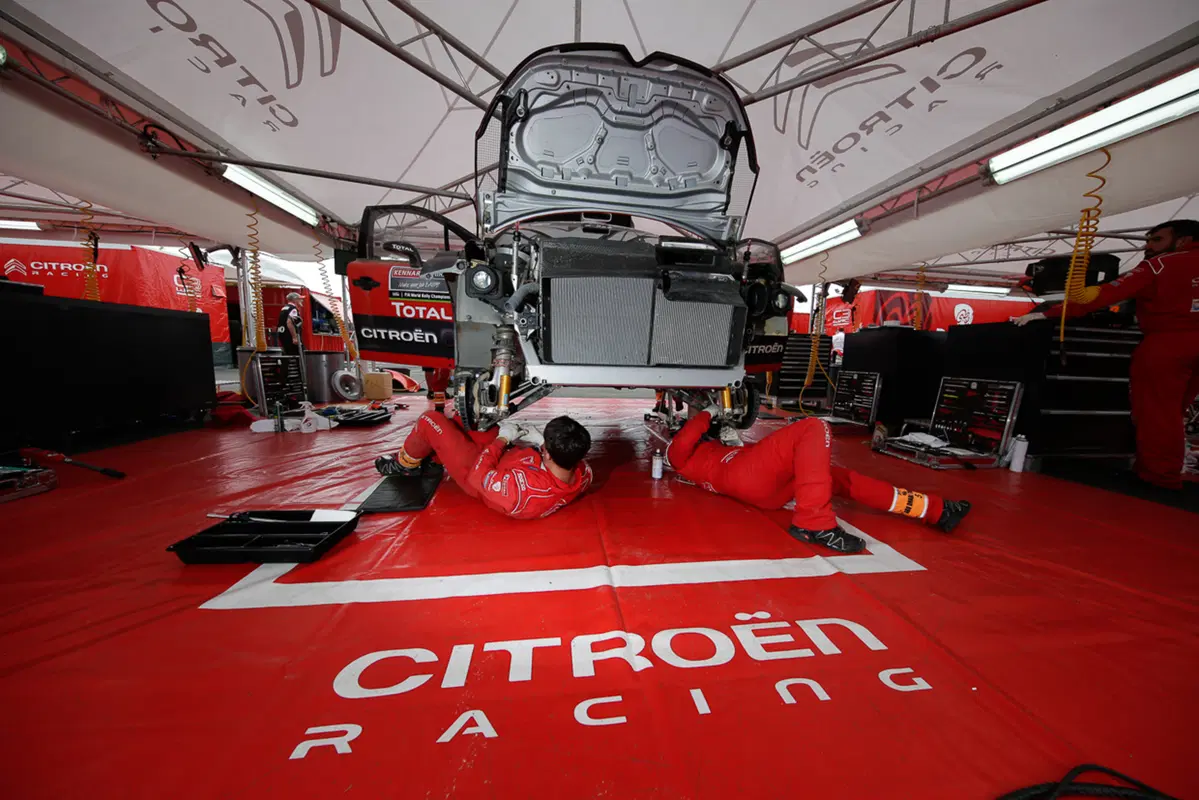 WRC (6)