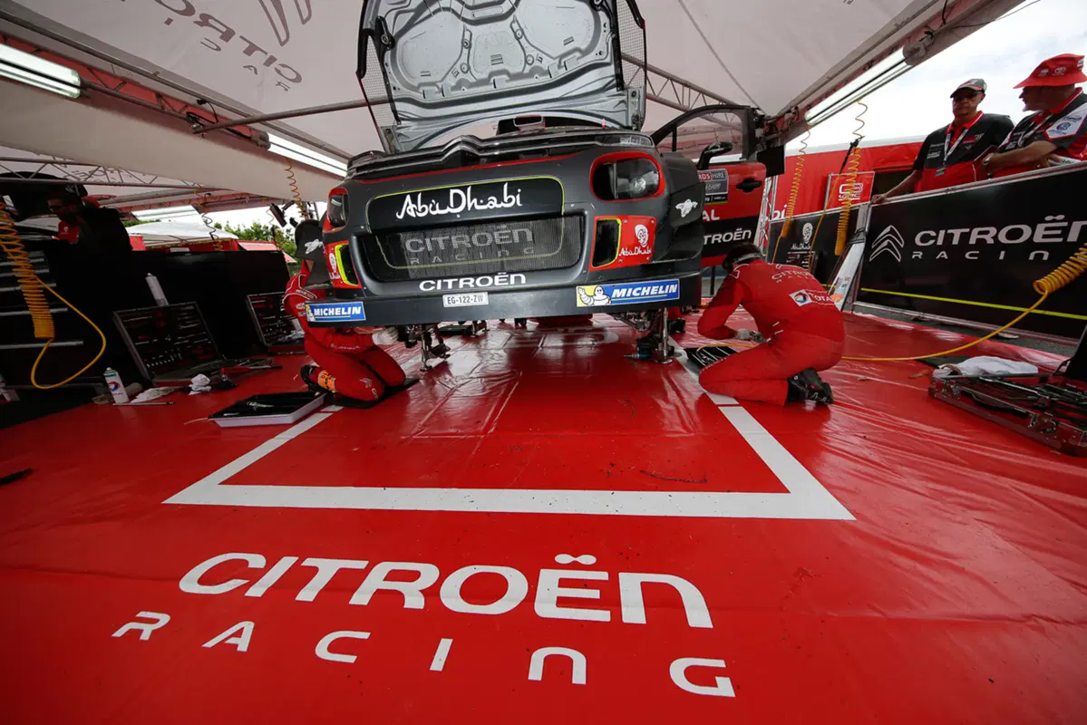 WRC (14)