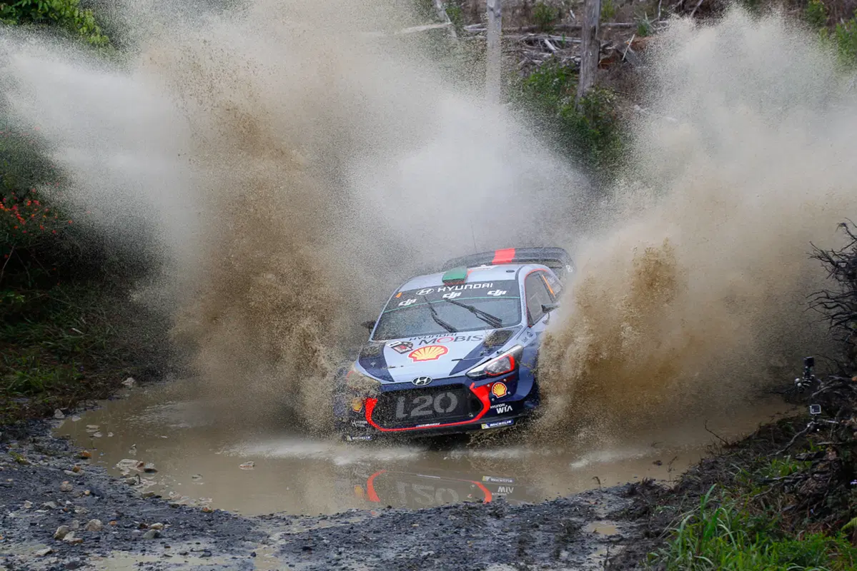 WRC (17)