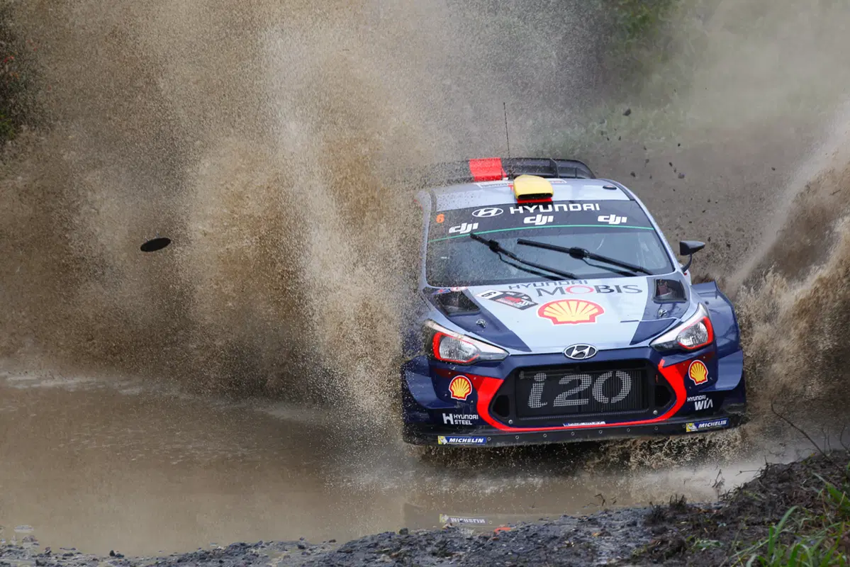 WRC (19)
