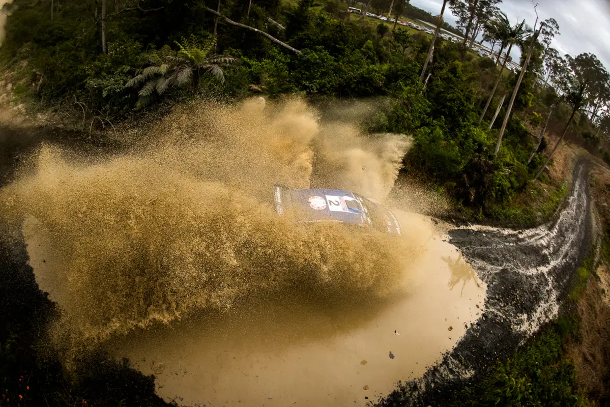 WRC (29)