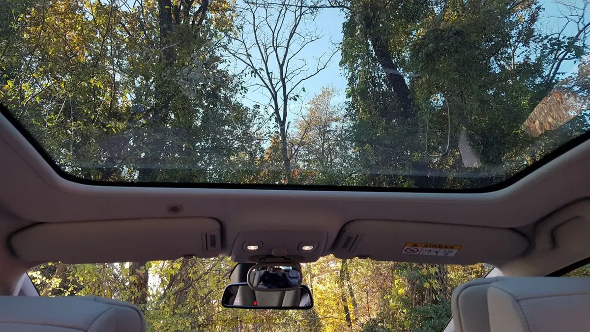 Renault Scenic | Un'autentica sorpresa! In positivo! (19)