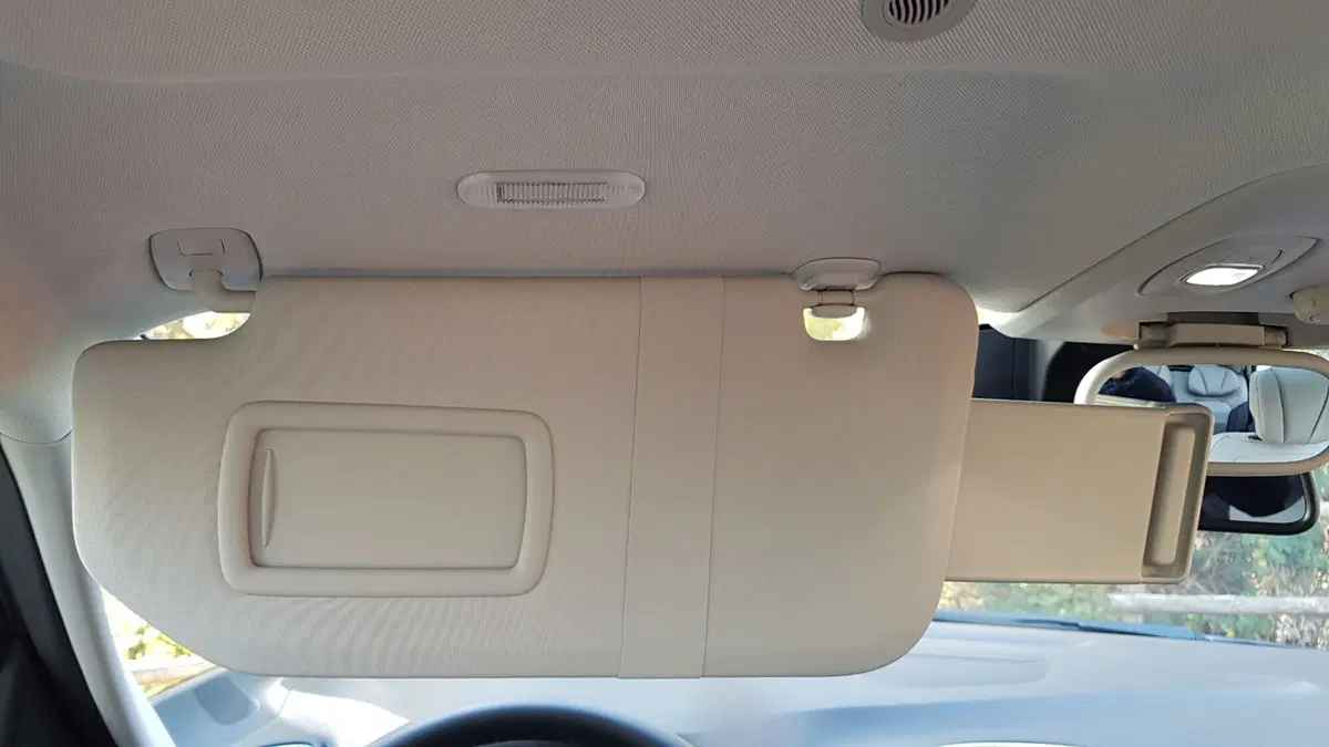 Renault Scenic | Un'autentica sorpresa! In positivo! (28)