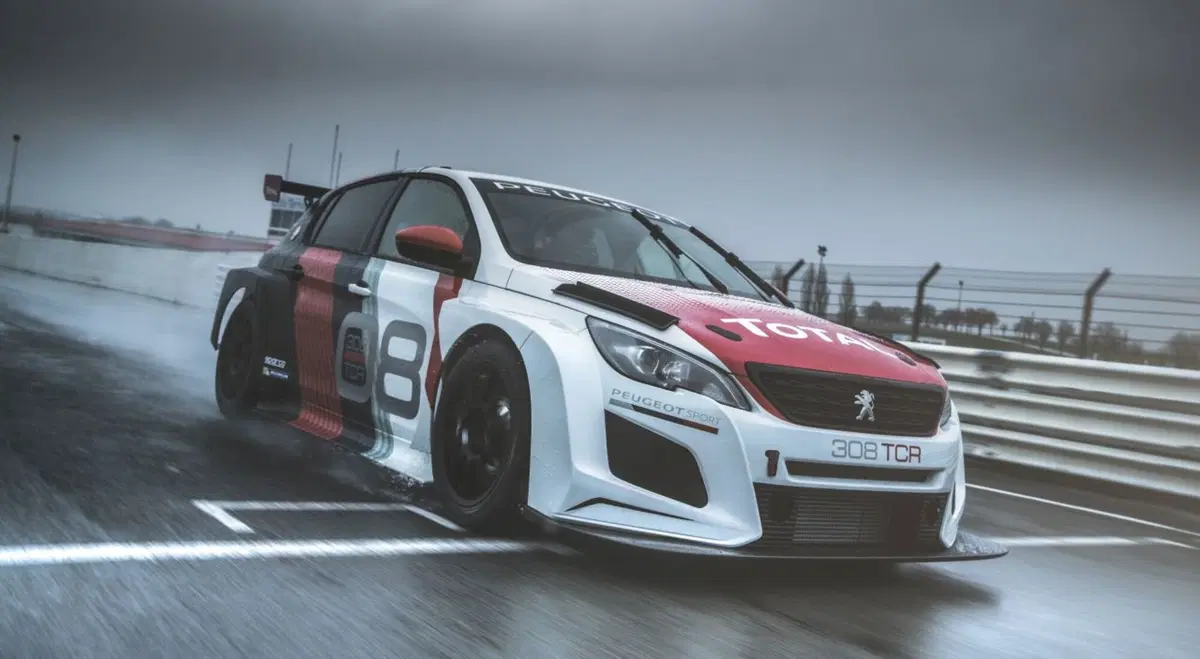 Peugeot 308TCR, pronta per il 2018  (5)