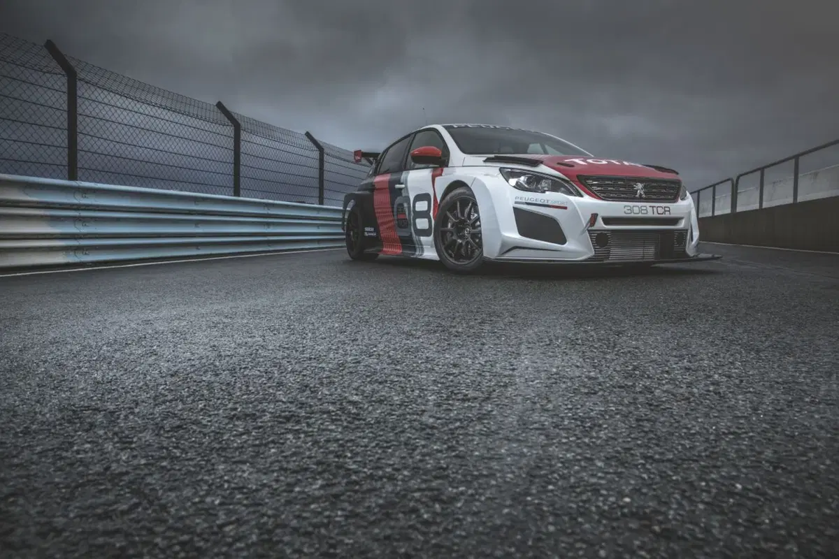 Peugeot 308TCR, pronta per il 2018  (9)