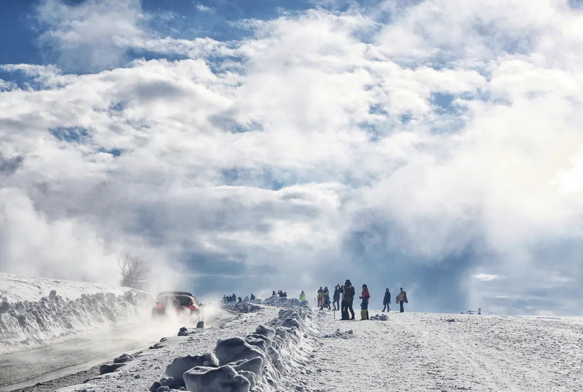 WRC (13)