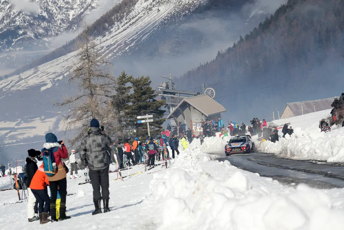 WRC (14)