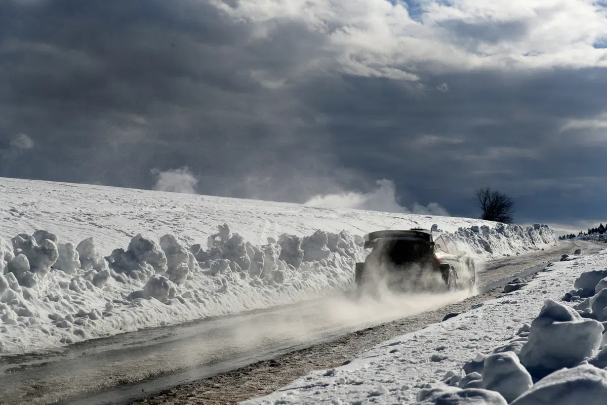 WRC (20)