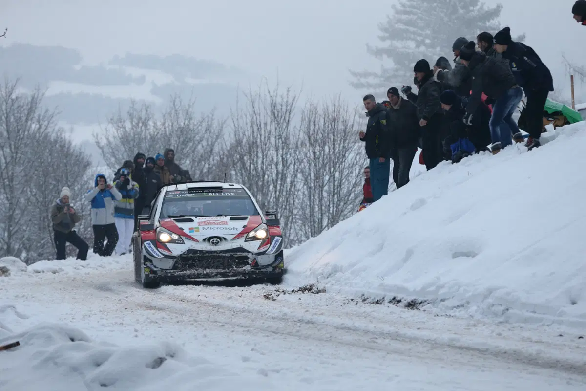 WRC (41)