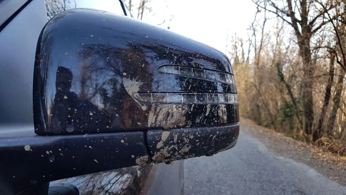 Mercedes GLE | Fango? Freddo? Esami superati... (7)
