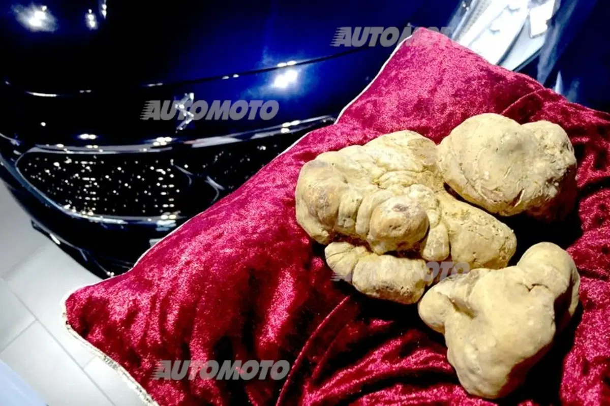 DS, eccellenza francese alla Fiera del Tartufo Bianco di Alba
